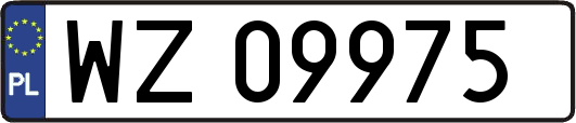 WZ09975