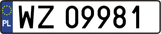 WZ09981