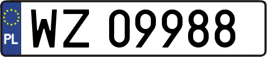 WZ09988