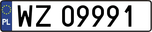 WZ09991