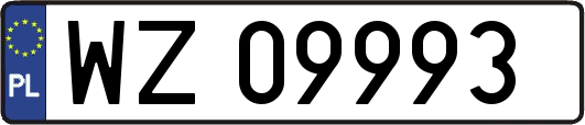 WZ09993