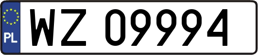 WZ09994