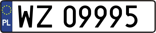 WZ09995