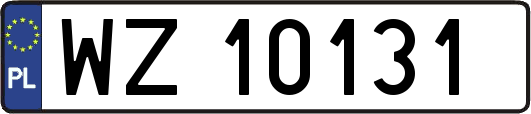 WZ10131