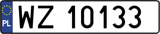 WZ10133