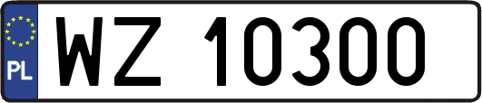 WZ10300
