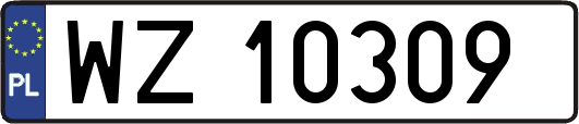 WZ10309