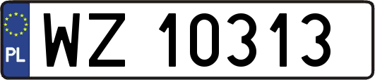 WZ10313