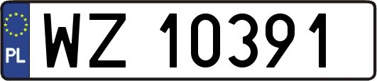 WZ10391