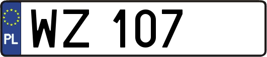 WZ107