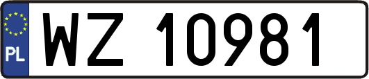 WZ10981