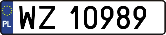 WZ10989