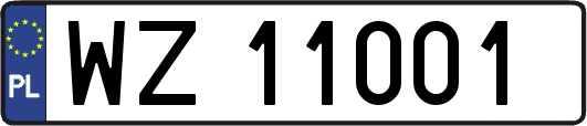 WZ11001