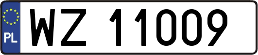 WZ11009