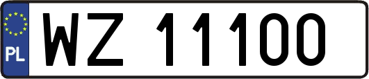 WZ11100