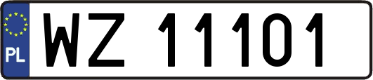 WZ11101