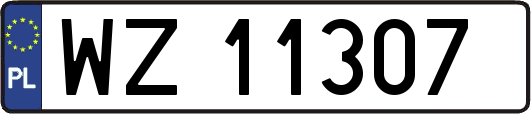 WZ11307