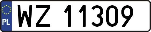 WZ11309