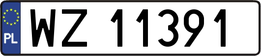 WZ11391