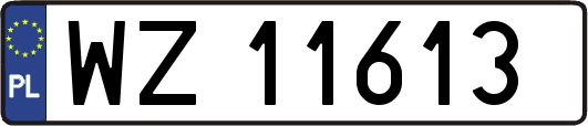 WZ11613