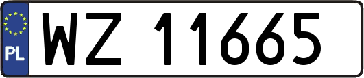 WZ11665