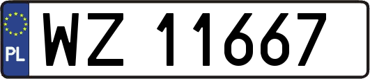WZ11667