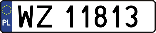 WZ11813