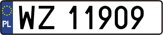 WZ11909