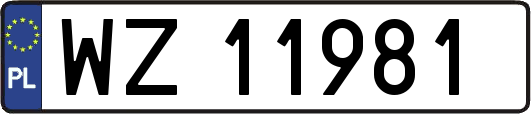 WZ11981