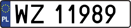 WZ11989
