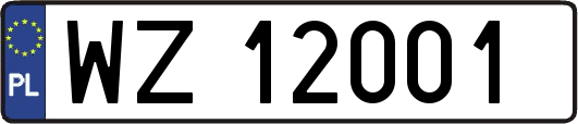 WZ12001