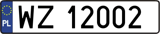 WZ12002
