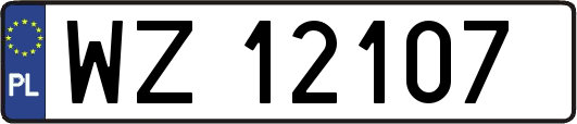 WZ12107