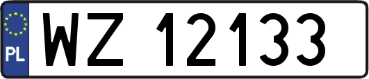 WZ12133