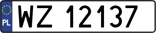 WZ12137