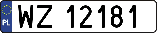 WZ12181