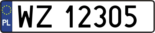 WZ12305