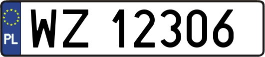 WZ12306