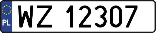 WZ12307
