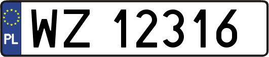 WZ12316
