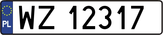 WZ12317