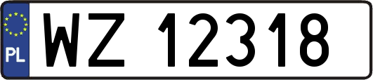 WZ12318