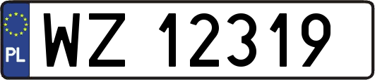 WZ12319