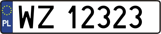 WZ12323