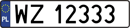 WZ12333