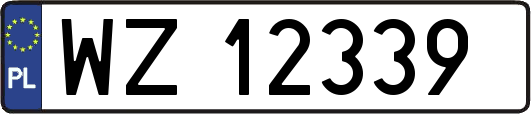 WZ12339