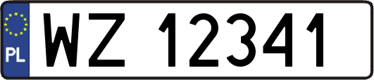 WZ12341