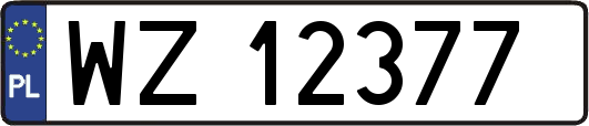 WZ12377
