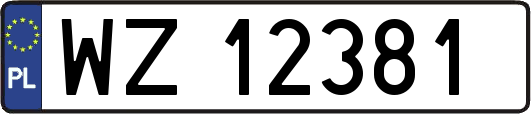 WZ12381