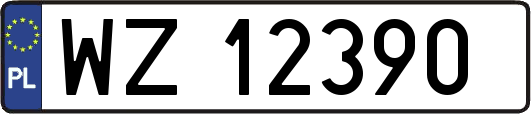 WZ12390